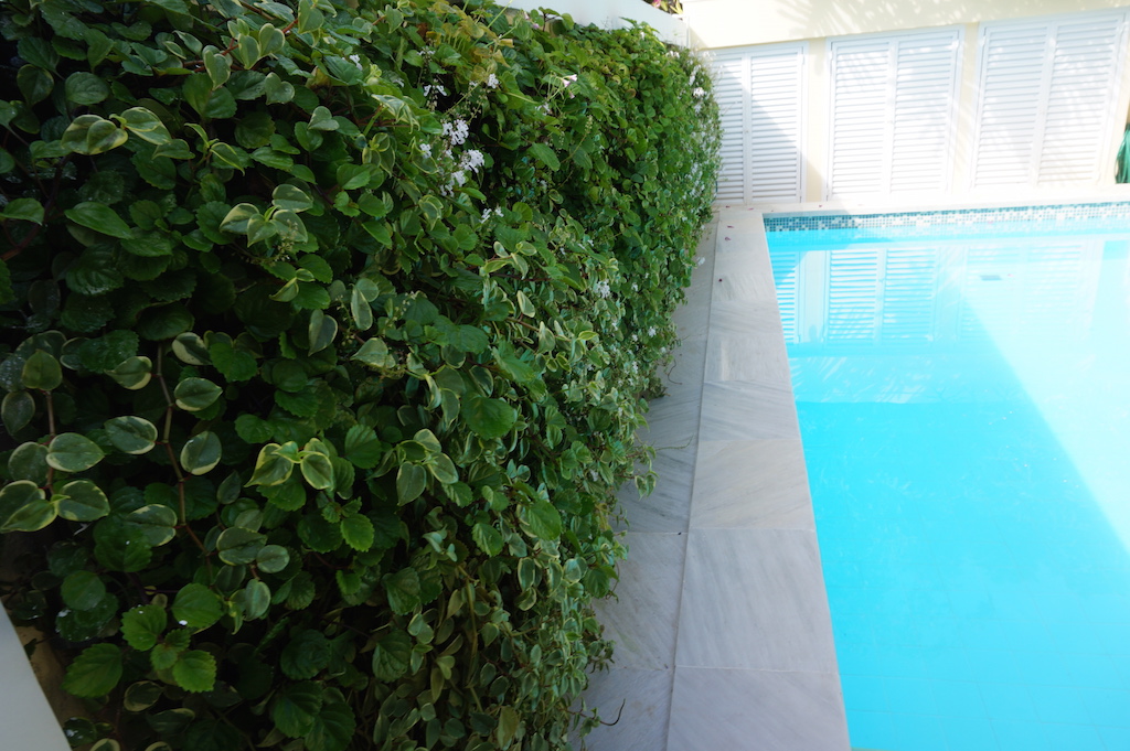 Jardim vertical em piscina